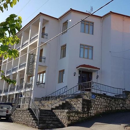 Parnon Hotel Agios Petros  외부 사진